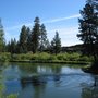 Photo of Pringle Falls