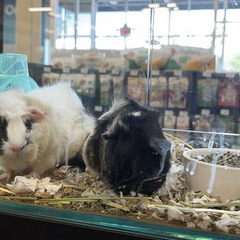 Petco - Pet Stores Near Me - Las Vegas, Nevada