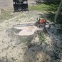 Photo of A Rated Tree Company