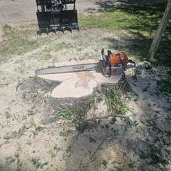 A Rated Tree Company