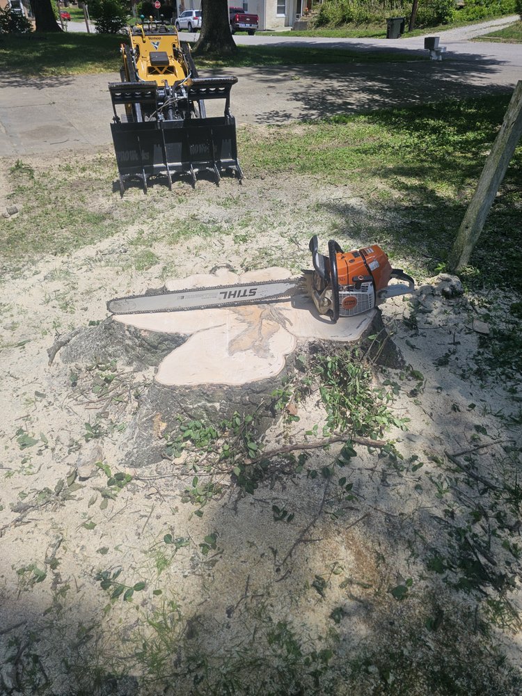 A Rated Tree Company - tree service in Berry, KY