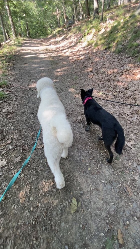 HIGH TOR STATE PARK Updated January 2025 417 S Mountain Rd, New