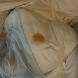 Amber Lodge Bed & Breakfast - BLOOD stain on the comforter!