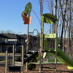 Whooping Crane Park - Forest themed equipment including a slide