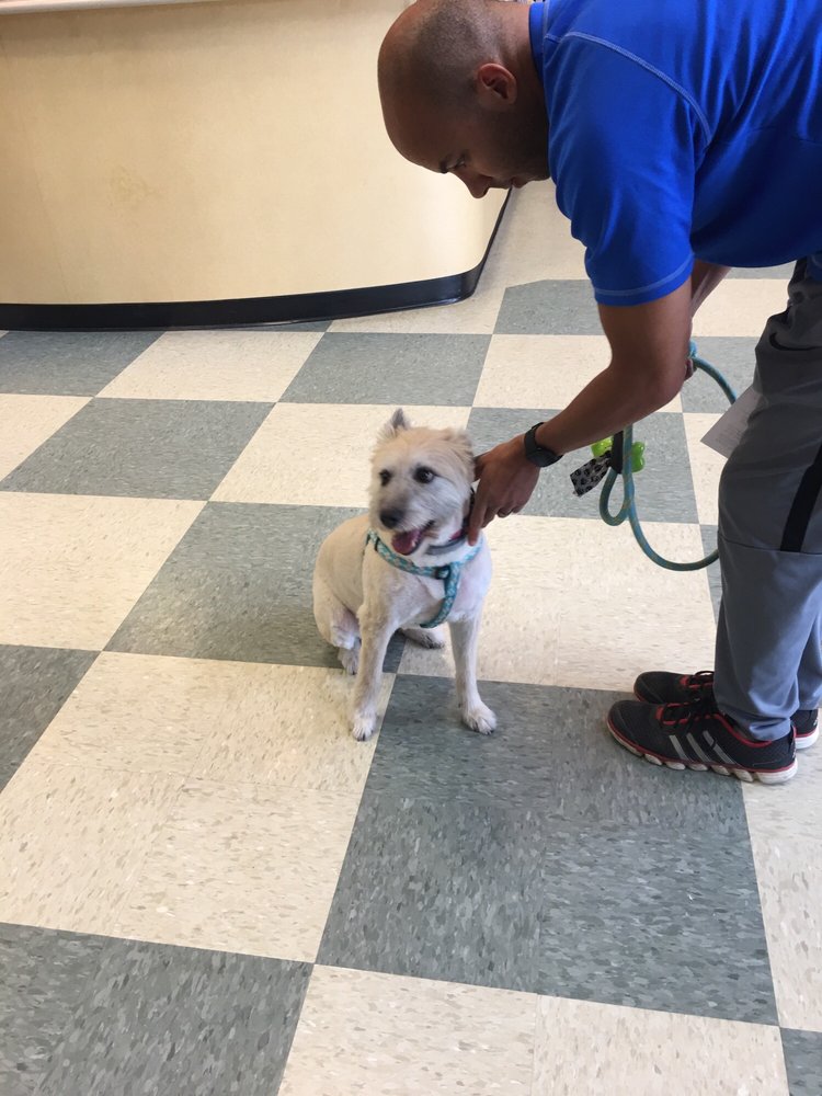 WALKERS PET HOTAIL 12 Photos & 17 Reviews 4603 William Penn Hwy