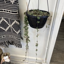 Shop All Things Kindred - String of hearts