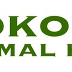 Kokopelli Animal Hospital
