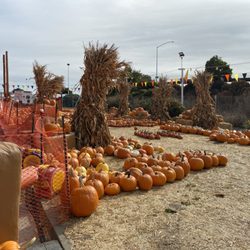 Grandpa Kevin's Pumpkin Patch
