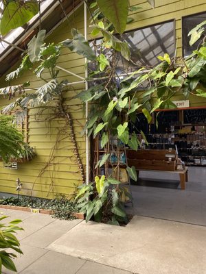 Portland Nursery by null