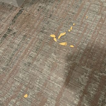 Vilara - Dog Diarrhea in the hallways in front of front doors! - Apartments Near Me - Laguna Niguel, California Vilara - Dog Diarrhea in the hallways in front of front doors! - Apartments Near Me - Laguna Niguel, California
