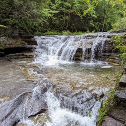 Robert H Treman State Park - Instagram: telephonesmoothie