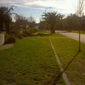 Splash Pad Park - lawn portion next to where the farmers market takes place - Parks Near Me - Oakland, California