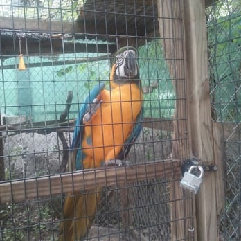 The Texas Zoo - Zoos Near Me - Victoria, Texas The Texas Zoo - Zoos Near Me - Victoria, Texas