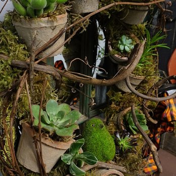 The Mossy Niche - Pics from their Halloween open house! - Florists Near Me - Monrovia, California The Mossy Niche - Pics from their Halloween open house! - Florists Near Me - Monrovia, California