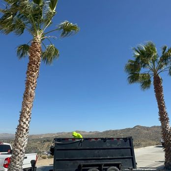 Pelayo Landscaping Services - Lawn Services Near Me Pelayo Landscaping Services - Lawn Services Near Me