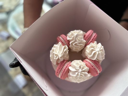 dbakers Sweet Studio by null
