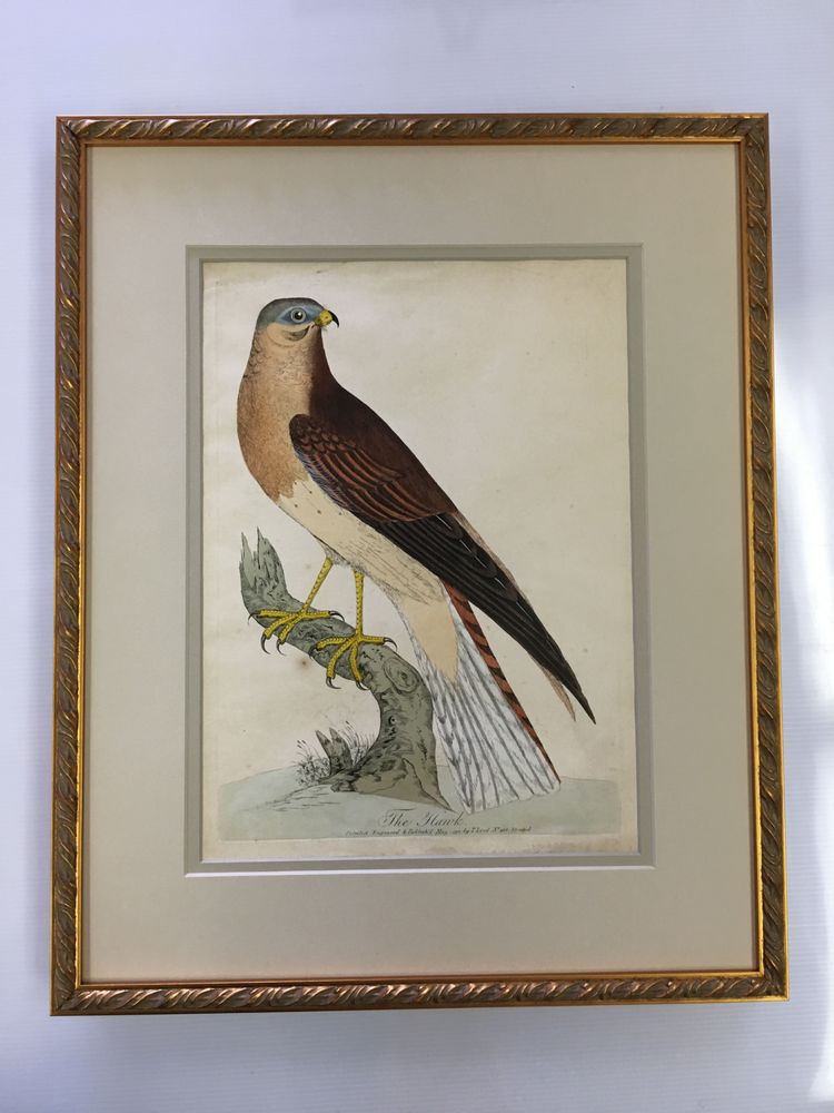 FRAMERS’ WORKROOM Updated September 2024 13 Photos & 11 Reviews