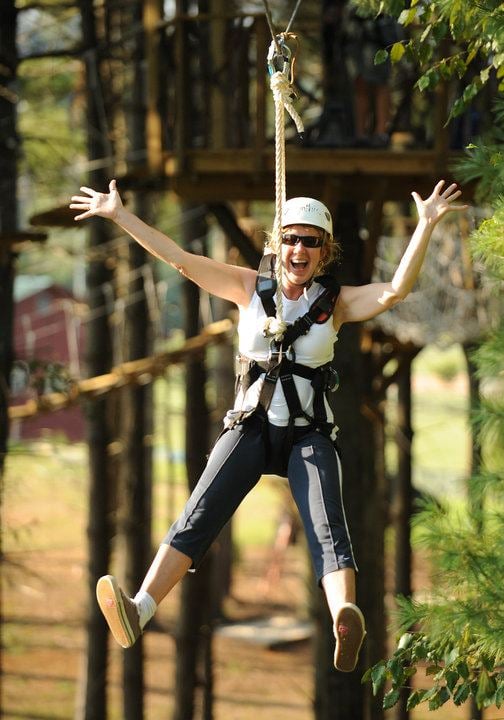 BEANSTALK ZIP LINES Updated October 2024 17 Photos 701 Sanford Dr