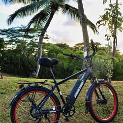 Biking in Paradise