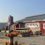 Photo of Biringer's Black Crow Pumpkins and Corn Maze