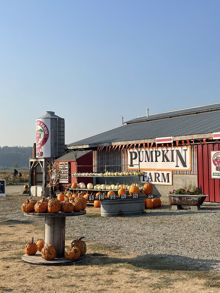 BIRINGER’S BLACK CROW PUMPKINS AND CORN MAZE - Updated August 2024 - 20