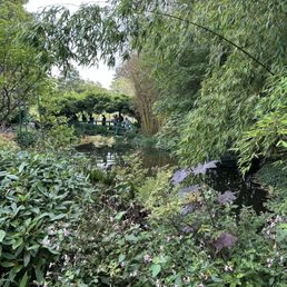 Bridge and pond