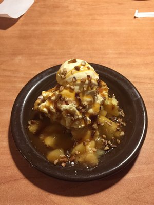 Village Inn by null