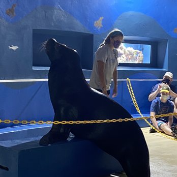 Coral World Ocean Park - Aquariums Near Me - St Thomas, Virgin Islands Coral World Ocean Park - Aquariums Near Me - St Thomas, Virgin Islands