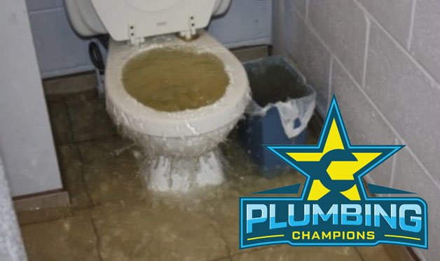 Slide of Plumbing Champions