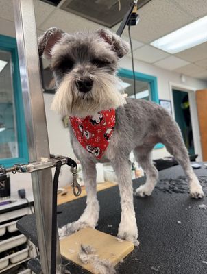 DoGone Fun Resort by null