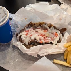 Mr Greek Gyros - What a tasty good haul for under $13!!