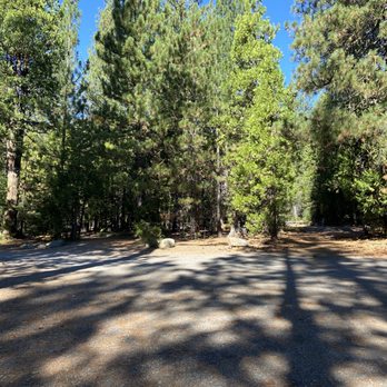 Volcano Country RV Park - Beautiful trees - RV Parks Near Me Volcano Country RV Park - Beautiful trees - RV Parks Near Me
