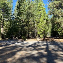 Volcano Country RV Park - Beautiful trees