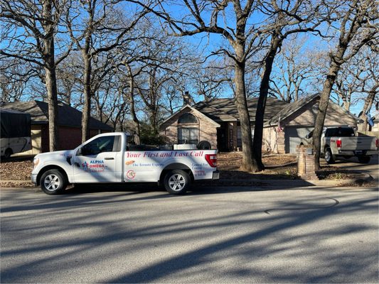 Alpha and Omega Pest Control