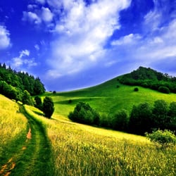 Real Change Hypnosis - Find your Path to Real Change