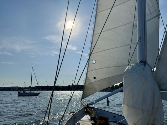 Schooner Woodwind Sailing Cruises by null