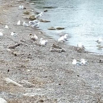 Bluffer’s Park - Parks Near Me - Toronto, Ontario