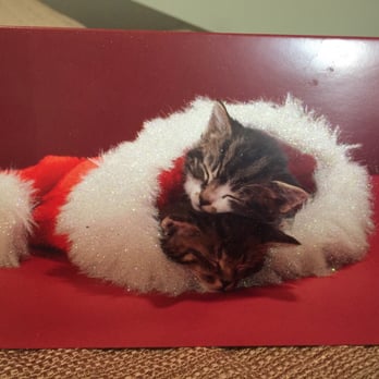 Specialty Pet Care - Cute customer Christmas card! - Pet Boarding Near Me - Gilbert, South Carolina