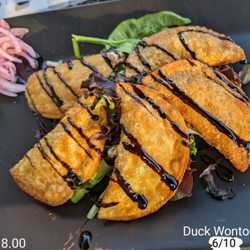 Shake It Up Cocktail Lounge - Duck Wontons