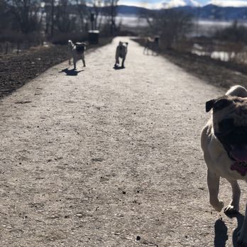 Chatfield Dog Park - Hey guys! - Dog Parks Near Me - Littleton, Colorado