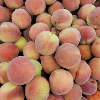 Berkeley Bowl Marketplace - Grocery Near Me - Berkeley, California Berkeley Bowl Marketplace - Grocery Near Me - Berkeley, California