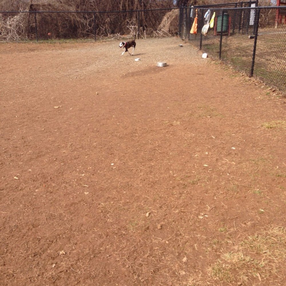 Blake Lane Dog Park - We have the park to ourselves this morning - Dog Parks Near Me - Oakton, Virginia Blake Lane Dog Park - We have the park to ourselves this morning - Dog Parks Near Me - Oakton, Virginia
