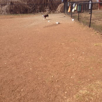 Blake Lane Dog Park - We have the park to ourselves this morning - Dog Parks Near Me - Oakton, Virginia Blake Lane Dog Park - We have the park to ourselves this morning - Dog Parks Near Me - Oakton, Virginia