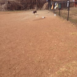 Blake Lane Dog Park - We have the park to ourselves this morning