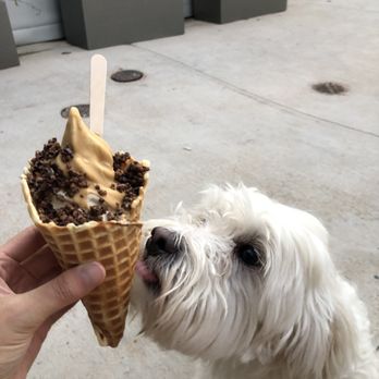 Big Softie - Coffee and chocolate soft serve with dulce drip and cocoa nibs - Ice Cream & Frozen Yogurt Near Me - Atlanta, Georgia Big Softie - Coffee and chocolate soft serve with dulce drip and cocoa nibs - Ice Cream & Frozen Yogurt Near Me - Atlanta, Georgia