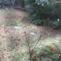 Wayne Pickle Septic Tank And Plumbing