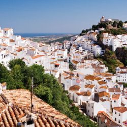 Spanish Easy and Fun