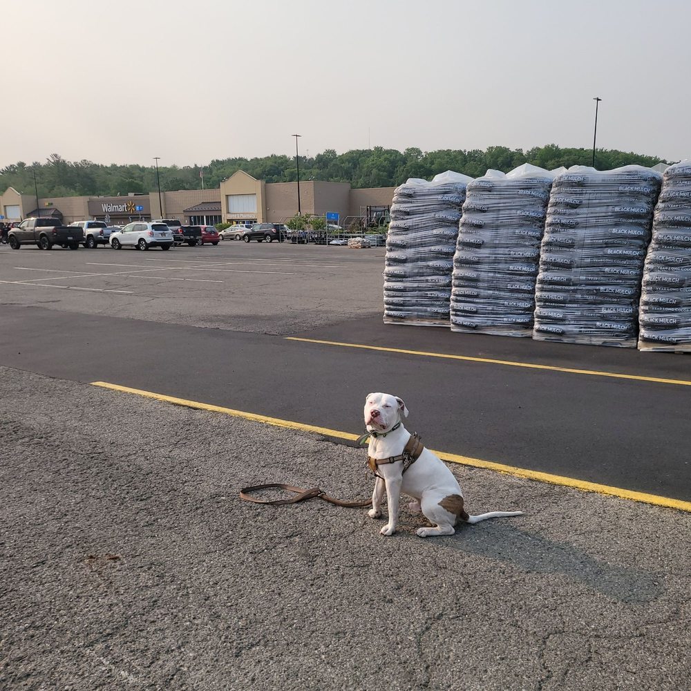 WALMART SUPERCENTER 34 Photos & 19 Reviews 350 E Fairmount Ave