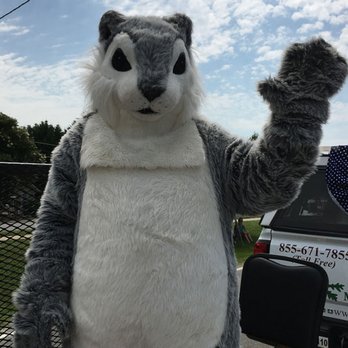 McNeely Pest Control - Pest Control Near Me - Asheville, North Carolina McNeely Pest Control - Pest Control Near Me - Asheville, North Carolina