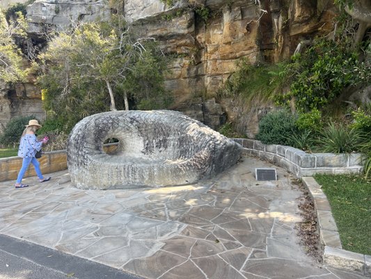 Shelly Beach by null